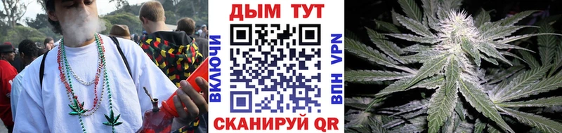 Бошки Шишки планчик  Купить  Кириши 
